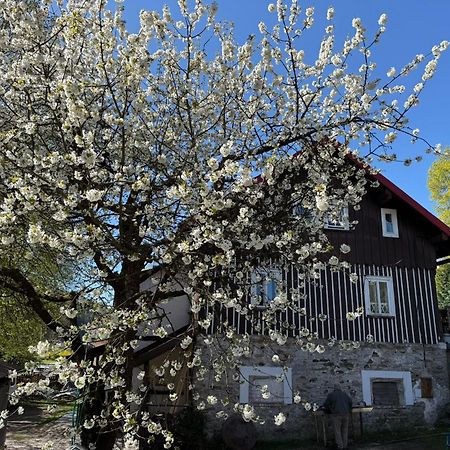 Vila Adélka - útulná chalupa v Krkonoších Horní Maršov Exterior foto